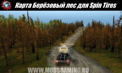 Spin Tires download mod map Birch forest