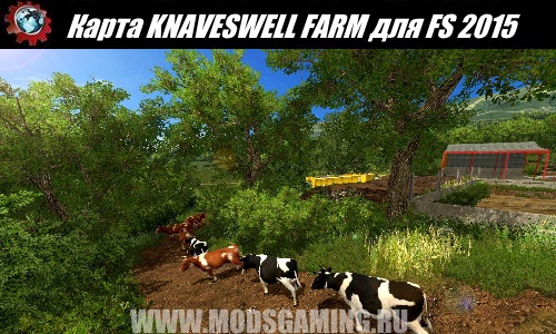       Farming Simulator 2015 -  10