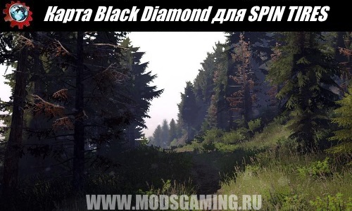 SPIN TIRES download mod Black Diamond Card for 03.03.16