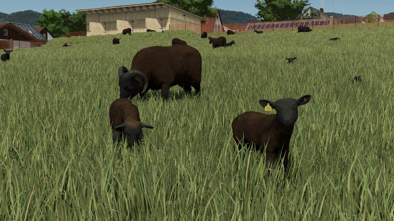 МОД Animal Package Vanilla Edition FS25 v1.0.0.0 (1.11.x) ДЛЯ FARMING SIMULATOR 2025 thumbnail 4