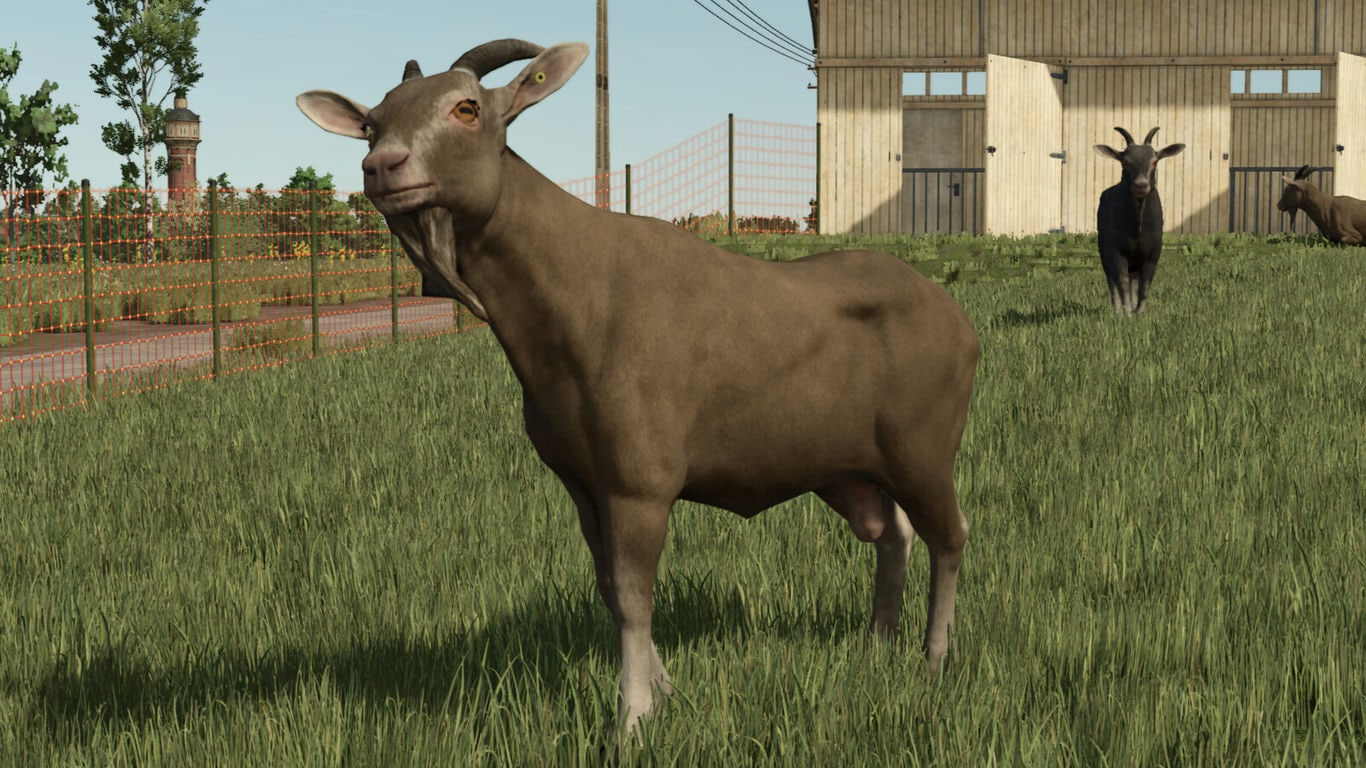 МОД Animal Package Vanilla Edition FS25 v1.0.0.0 (1.11.x) ДЛЯ FARMING SIMULATOR 2025 thumbnail 2
