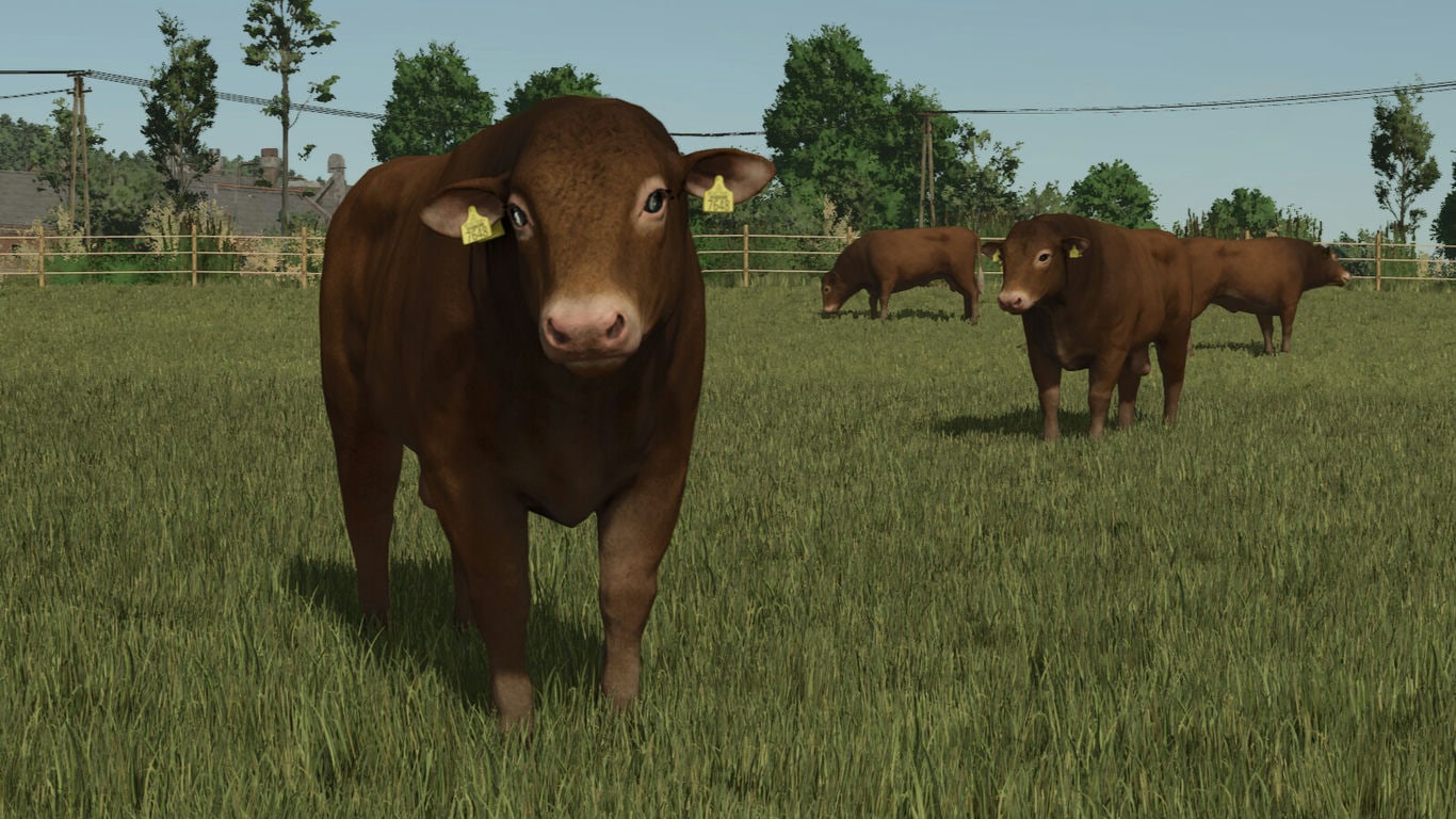 МОД Animal Package Vanilla Edition FS25 v1.0.0.0 (1.11.x) ДЛЯ FARMING SIMULATOR 2025